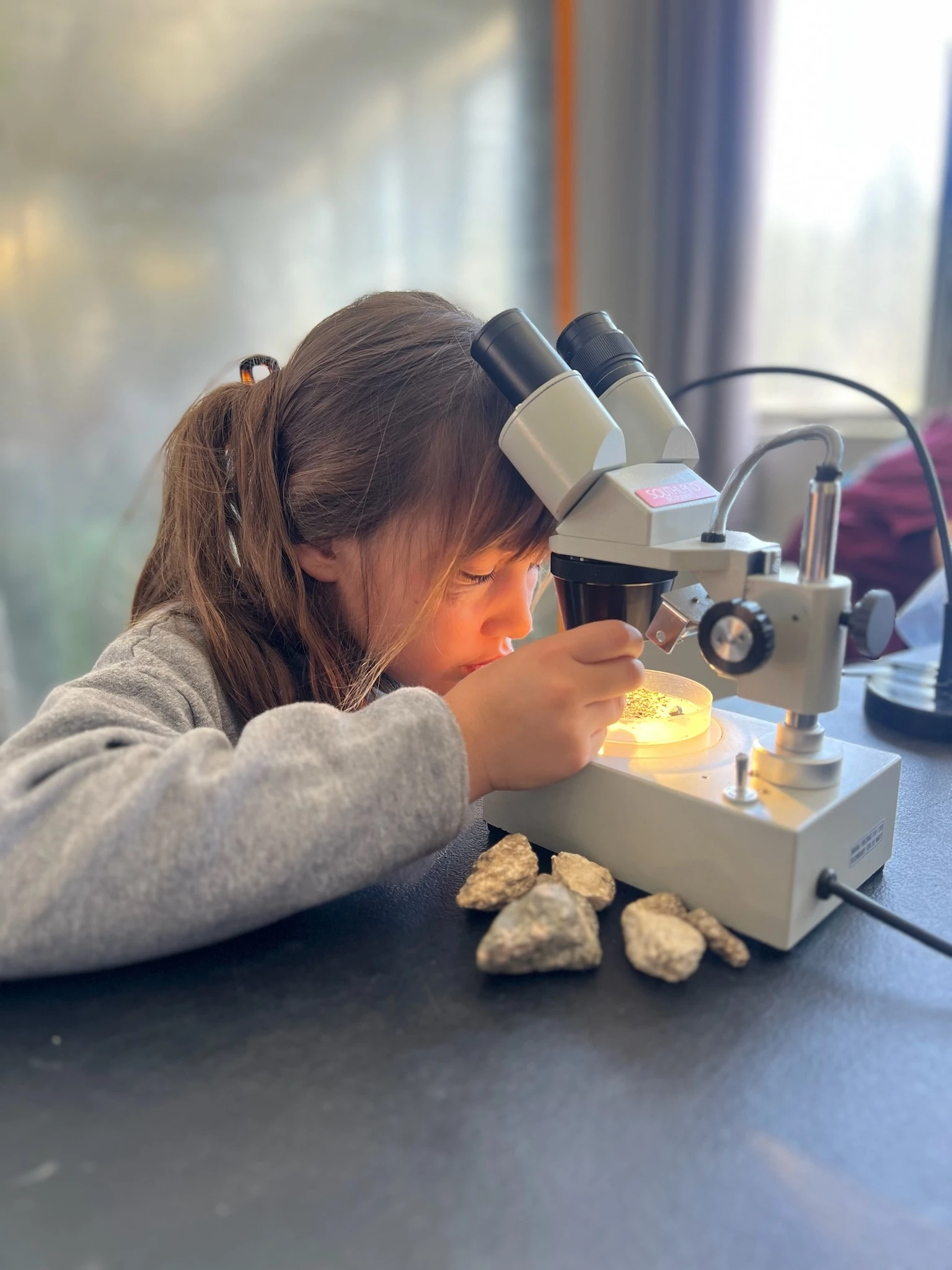Page Academy student looking at rock samples through a microscope in a science lab